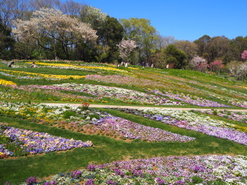 2019.04.12.02so-net.jpg