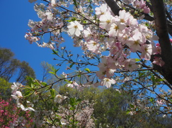 2019.04.12.05so-net.jpg