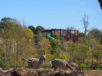 2019.04.15.02so-net.jpg