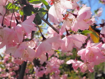 2019.04.15.04so-net.jpg
