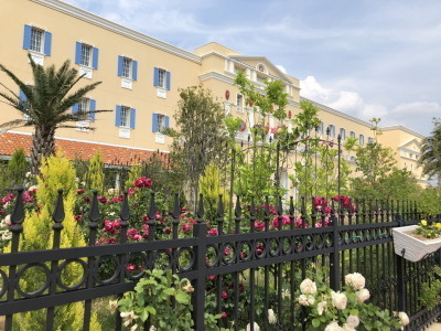 2019.06.05.02so-net.jpg