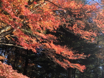 2019.11.21.06so-net.jpg