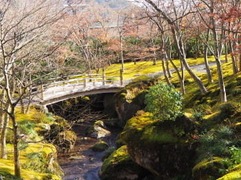 2019.12.03.08so-net.jpg