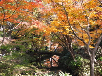 2019.12.09.02so-net.jpg