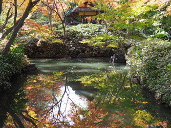 2019.12.09.05so-net.jpg