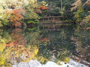 2019.12.12.09so-net.jpg