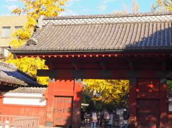 2019.12.18.06so-net.jpg