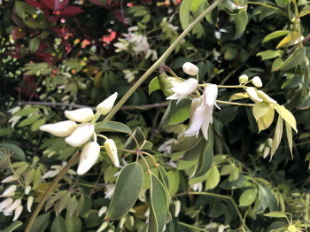 2020.04.12.04ss-blog.jpg