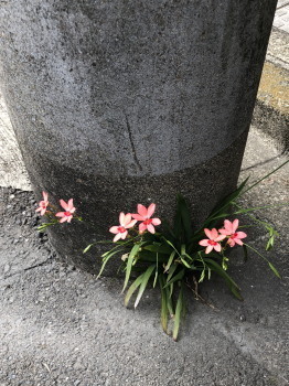 2020.04.26.02ss-blog.jpg