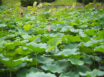 2020.10.07.01ss-blog.jpg