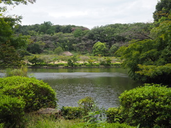 2020.10.07.03ss-blog.jpg
