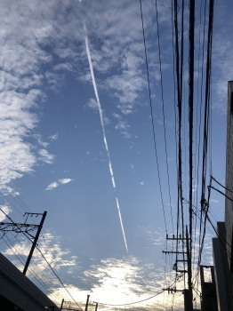 2020.11.08.01ss-blog.jpg
