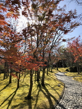 2020.11.24.03ss-blog.jpg