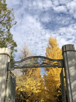 2020.11.24.04ss-blog.jpg