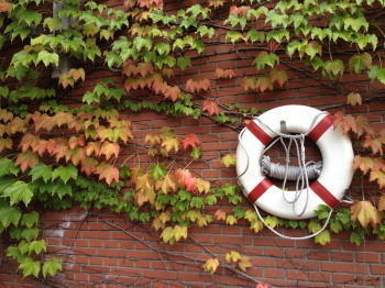 2020.11.24.05ss-blog.jpg