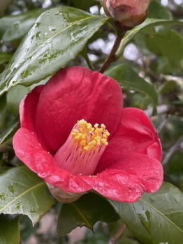 2021.03.10.02ss-blog.jpg