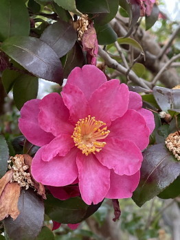 2021.03.10.03ss-blog.jpg