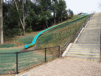 2021.03.10.05ss-blog.jpg