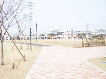 2021.03.10.06ss-blog.jpg