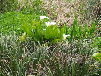 2021.03.10.07ss-blog.jpg