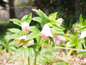 2021.03.10.08ss-blog.jpg