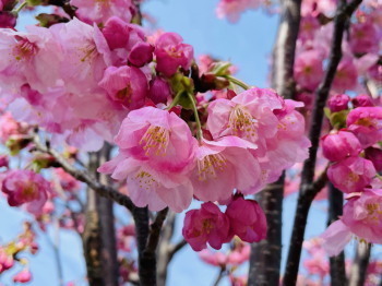 2021.03.25.02ss-blog.jpg