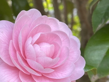 2021.03.25.03ss-blog.jpg