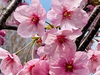 2021.03.25.04ss-blog.jpg