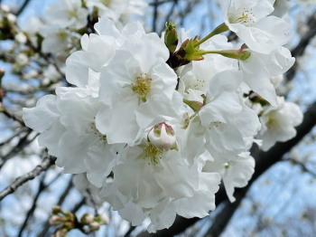2021.03.25.05ss-blog.jpg