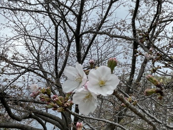 2021.03.25.06ss-blog.jpg