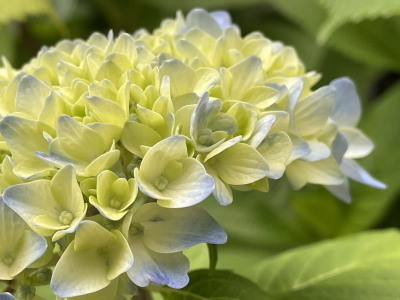 2021.05.20.01ss-blog.jpg