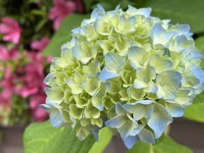 2021.05.20.02ss-blog.jpg