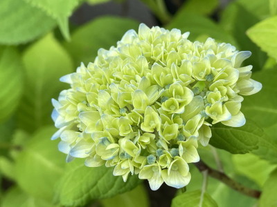 2021.05.20.03ss-blog.jpg