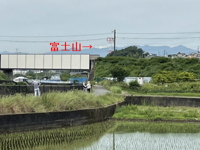 2021.05.29.01ss-blog.jpg