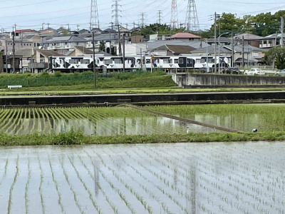 2021.05.29.02ss-blog.jpg