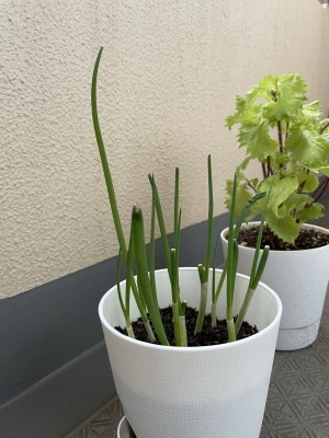 2021.05.29.03ss-blog.jpg