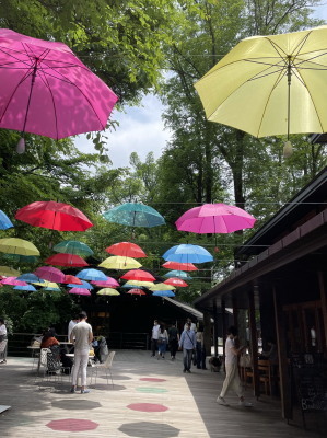 2021.06.14.01ss-blog.jpg
