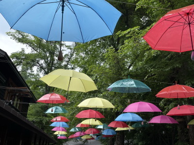 2021.06.14.02ss-blog.jpg