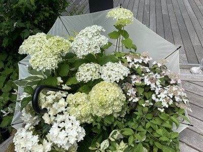 2021.06.14.03ss-blog.jpg
