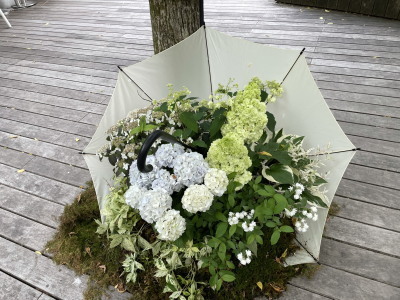 2021.06.14.05ss-blog.jpg