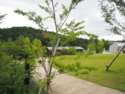 2021.08.07.08ss-blog.jpg