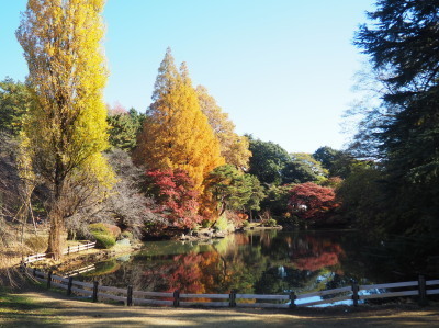 2021.11.26.01ss-blog.jpg