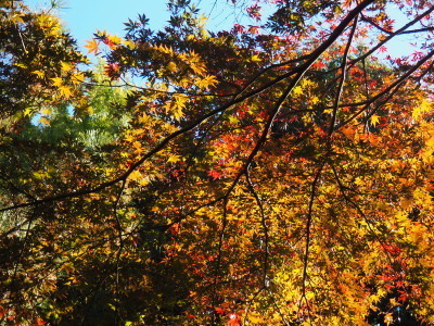 2021.11.26.02ss-blog.jpg