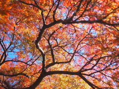 2021.11.26.04ss-blog.jpg