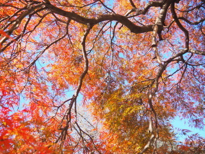 2021.11.26.05ss-blog.jpg