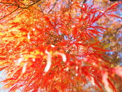 2021.11.26.06ss-blog.jpg