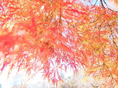 2021.11.26.07ss-blog.jpg