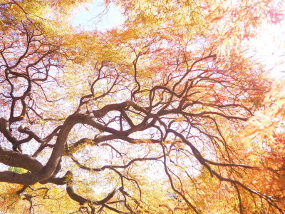 2021.11.26.08ss-blog.jpg