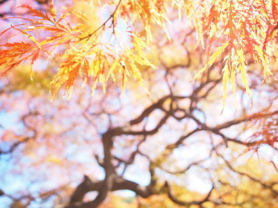 2021.11.26.09ss-blog.jpg