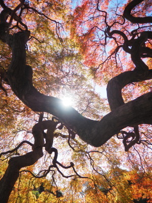 2021.11.26.11ss-blog.jpg